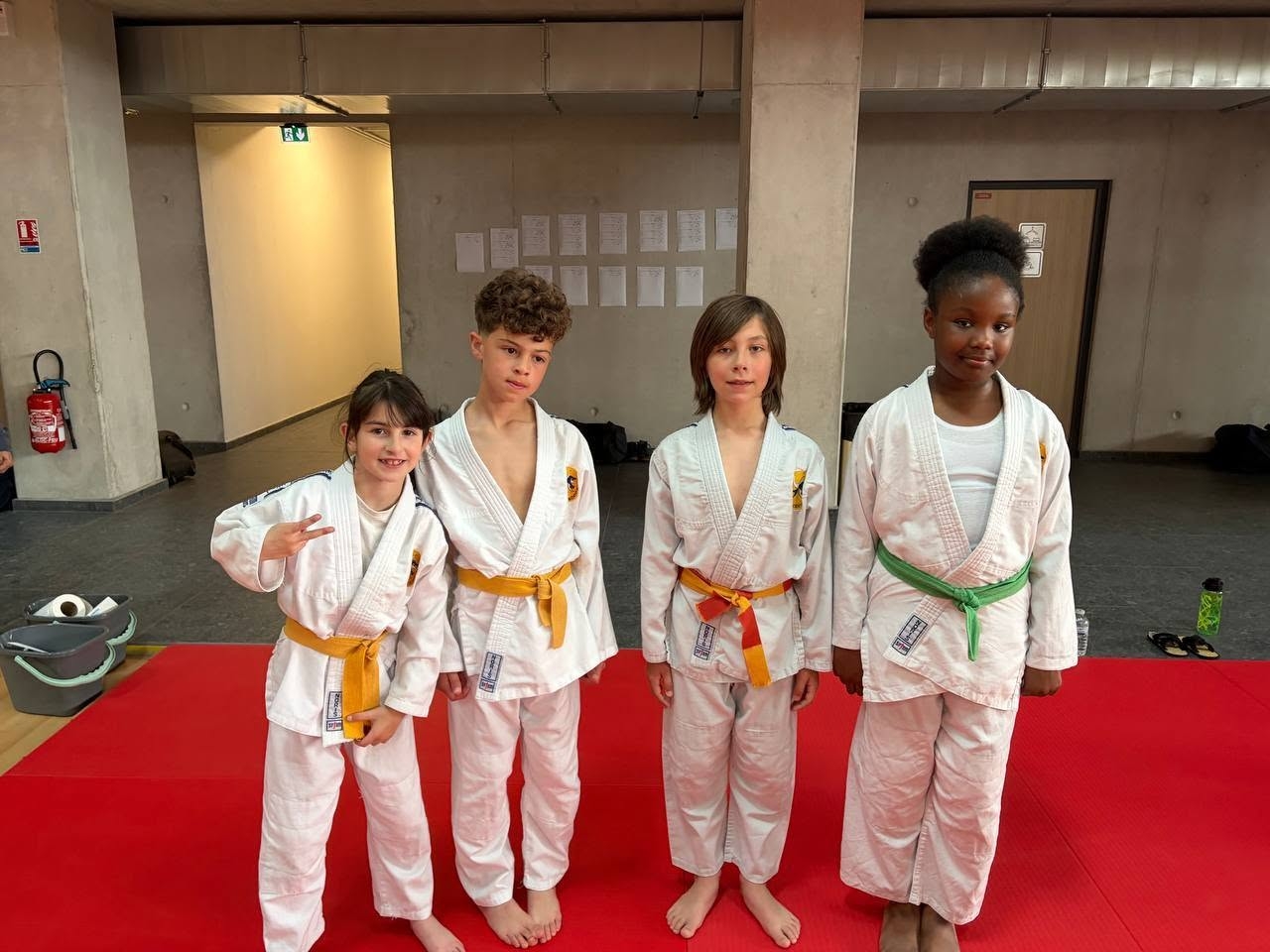 2026 - Petits tigres poussins n 3 COJ